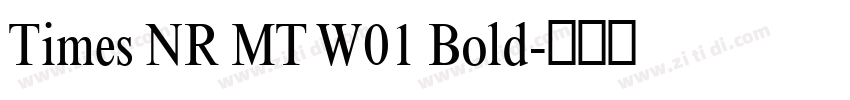 Times NR MT W01 Bold字体转换